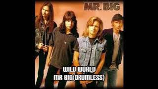 Wild World - Mr Big (Drumless)