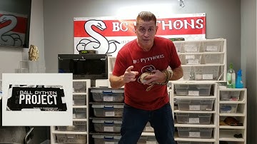 Tinley Update Unboxing and Shout outs!!