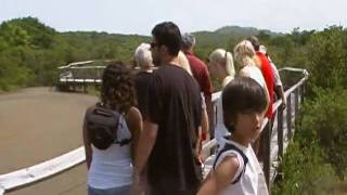 SDV_0174.MP4