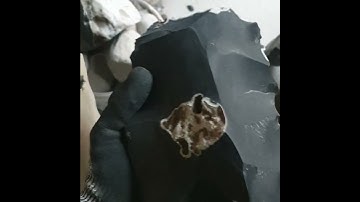 Squareaxe preform, black Swedish flint from a beach outside a nuclear factory.