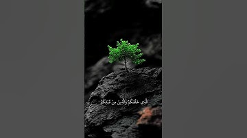استمع الآن لتلاوة تهز القلوب بصوتٍ يلامس الإحساس 💫#قرآن_كريم #تلاوة_خاشعة #صوت_يرتّل