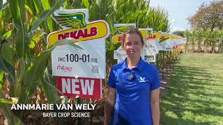 Trait evolution helps drives yield success