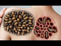 ASMR TRIGGER SOUNDS STOP MOTION ANIMATION @relaxoasmrofficial