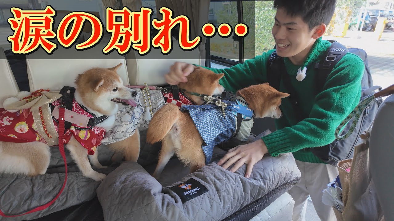 ♯Goi26Az豆しばしーるこれくしょん全5種 Apple Apple, Gimme5 Variety Pack | GoGo SqueeZ® Applesauce & Fruit