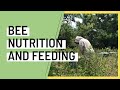 Honey Bee Nutrition &amp; Feeding w/ Prime Bees Apiary