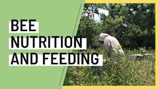 Honey Bee Nutrition Feeding W Prime Bees Apiary