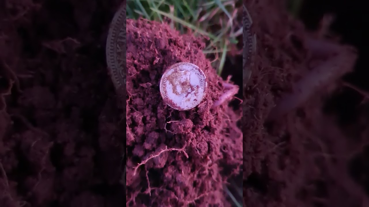 first coin.....silver!! metal detecting NZ