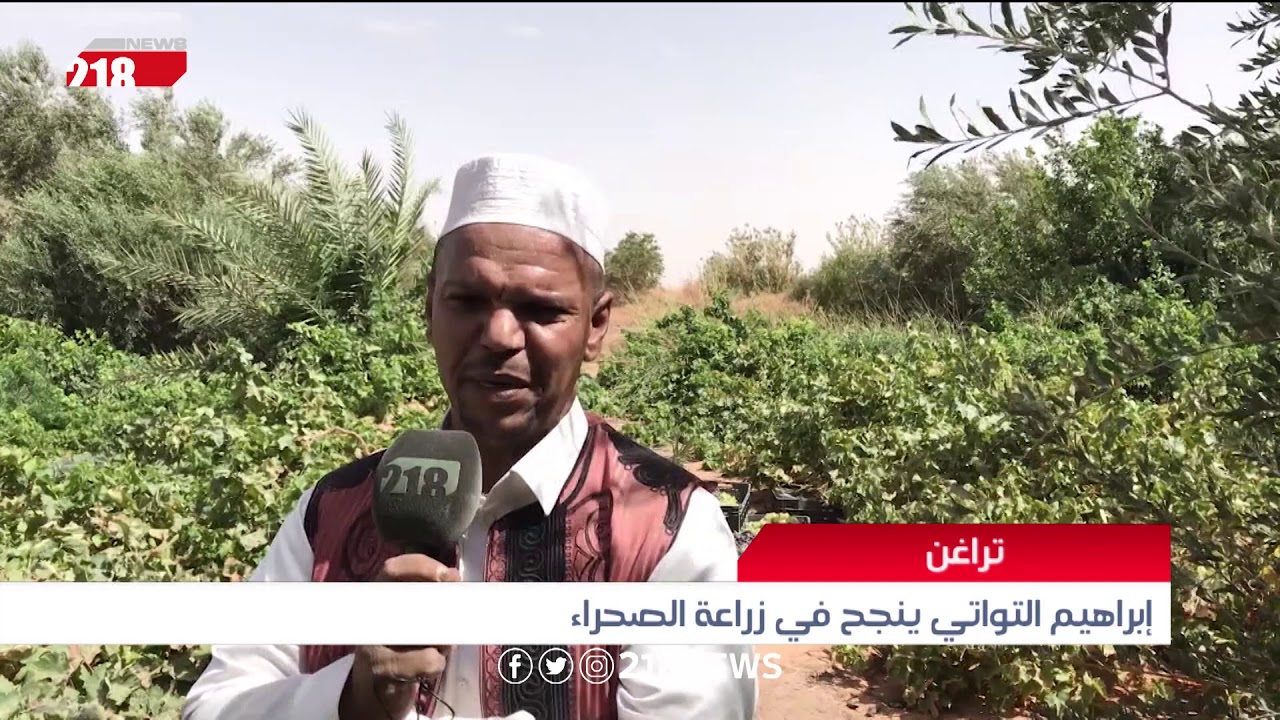 ليبيا اليوم | إبراهيم التواتي ينجح في زراعة الصحراء بتراغن