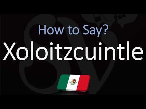 How to Pronounce Xoloitzcuintle? (CORRECTLY) Mexican Hairless Dog Breed Name Pronunciation