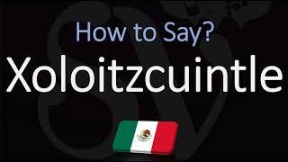 How to Pronounce Xoloitzcuintle? (CORRECTLY) Mexican Hairless Dog Breed Name Pronunciation