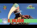 El volador topple tower huss  bellewaerde belgium  themed rides  offride onride  pov