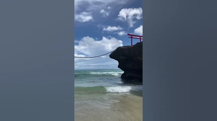 Summer Vibes!
