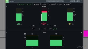 Interface & Layouts (iZotope Insight 2 Explained)