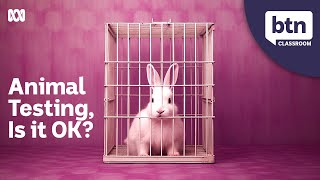 Animal Testing - Behind The News