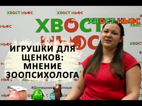 Игрушки для щенков: мнение зоопсихолога