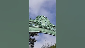 UC Berkeley launches new center for psychedelic science and education #short