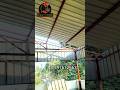 How To Make Roof Shed. Roof Shed Design and Price for Home. #viral #reels #roof #trending #YouTube