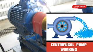 Centrifugal Pump Impeller DamageCentrifugal pump impeller damage can occur due to various reasons,