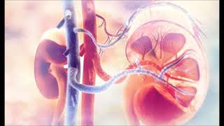 6 filmoj de Krystyna Grochocka