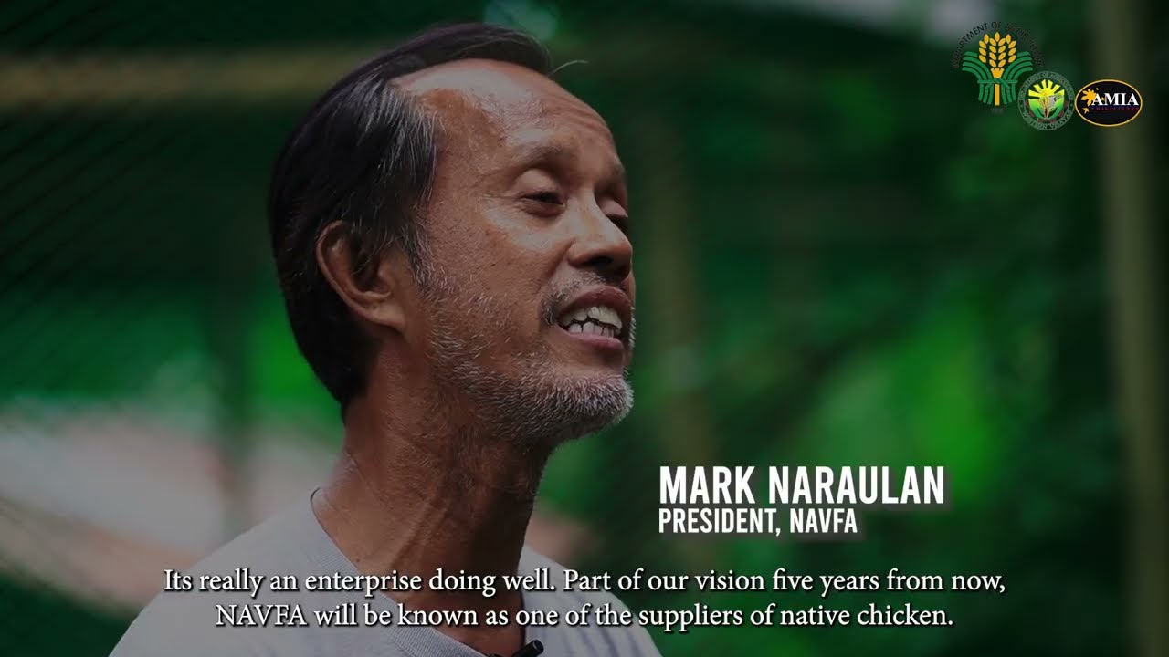 From 50 to 300 Chickens! How Aklan Farmers Built a Thriving Native Chicken Enterprise with DA's Help