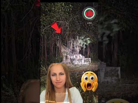 كائن غامض يقف تحت شجرة في الغابة المشهد الذي أرعب كل من شاهده