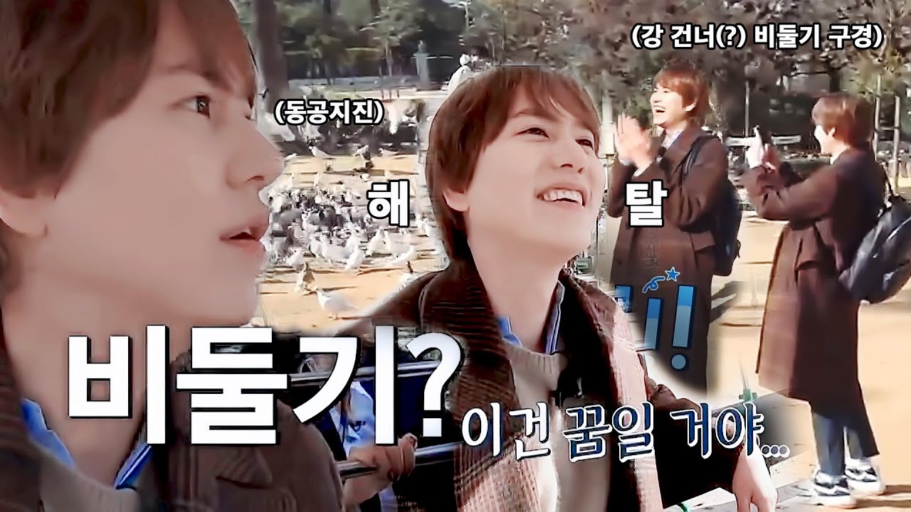 스페인 비둘기 떼는 무섭지만 구경은 하고 싶었던 규현 (KYUHYUN)