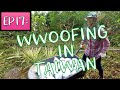 Wwoofing Taiwan (RaD Ep 17) : Experiencing Life on an Taiwanese Organic Farm