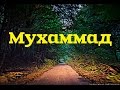 Нашид на Кабардинском языке. (ПРЕМЬЕРА КЛИПА!)