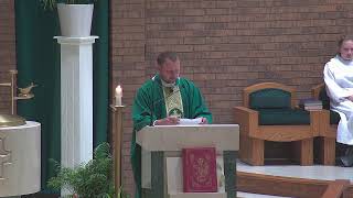 Homily for the 14th Sunday in Ordinary Time