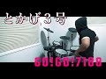 とかげ3号 / GO!GO!7188 ドラム 叩いてみた【DRUM COVER】