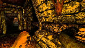Amnesia, The Dark Descent, Part 22