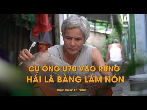 Ông lão kỳ lạ ở Huế chỉ vào rừng nhặt lá bàng về làm nón trong suốt cực lạ
