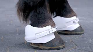 TOP REITER screenshot 2