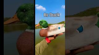 Rc Duck