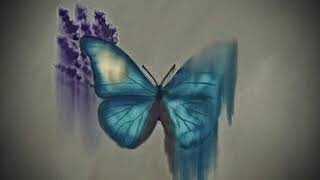 モルフォと無辜