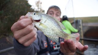 Stocking Crappie In My Pond
