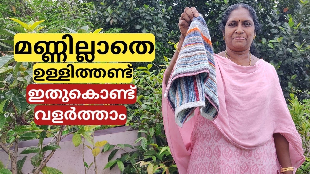 ഉള്ളിത്തണ്ട് അടുക്കളയിൽ വച്ച് വളർത്തിയെടുക്കാൻ ഇത് മതി | How to grow spring onion without soil