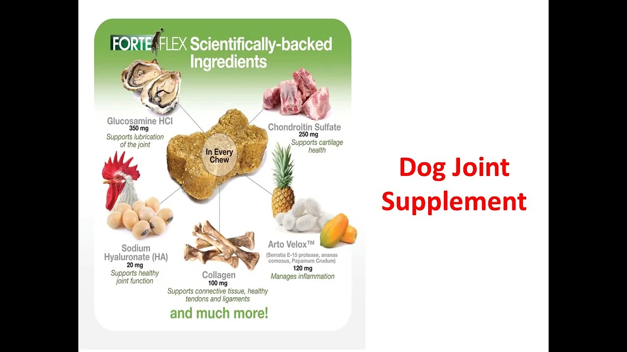 Forte Flex K9 : #1 Dog Joint Supplement