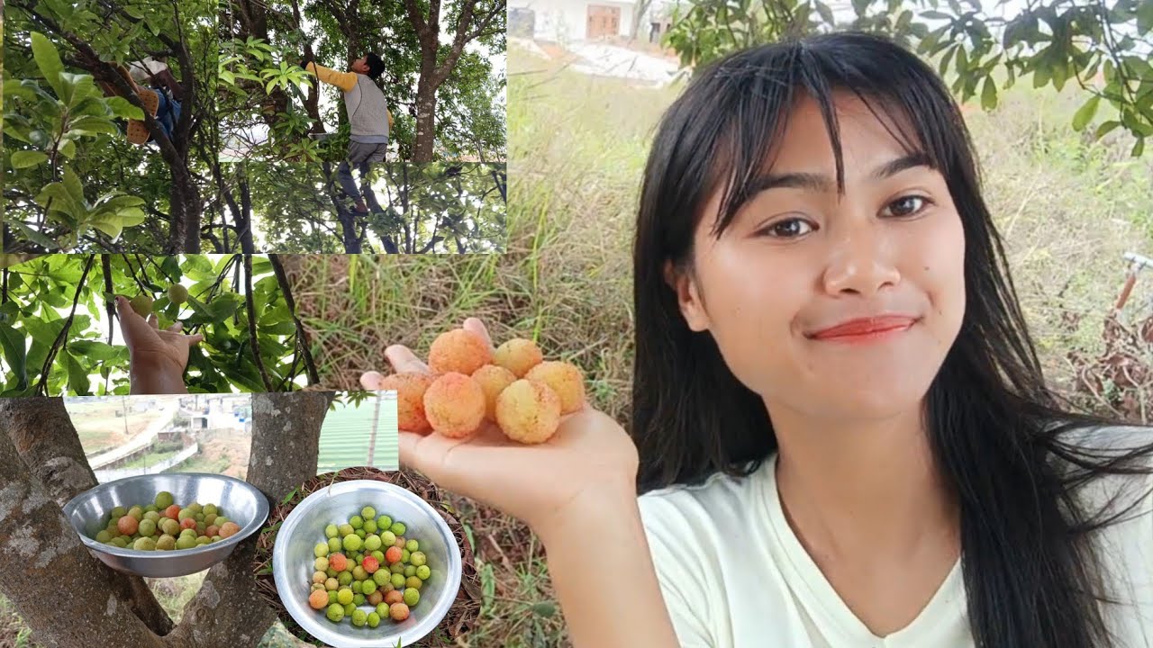 Khait soh phai ha iung + khleh soh 🤤 | Diengshynrum village