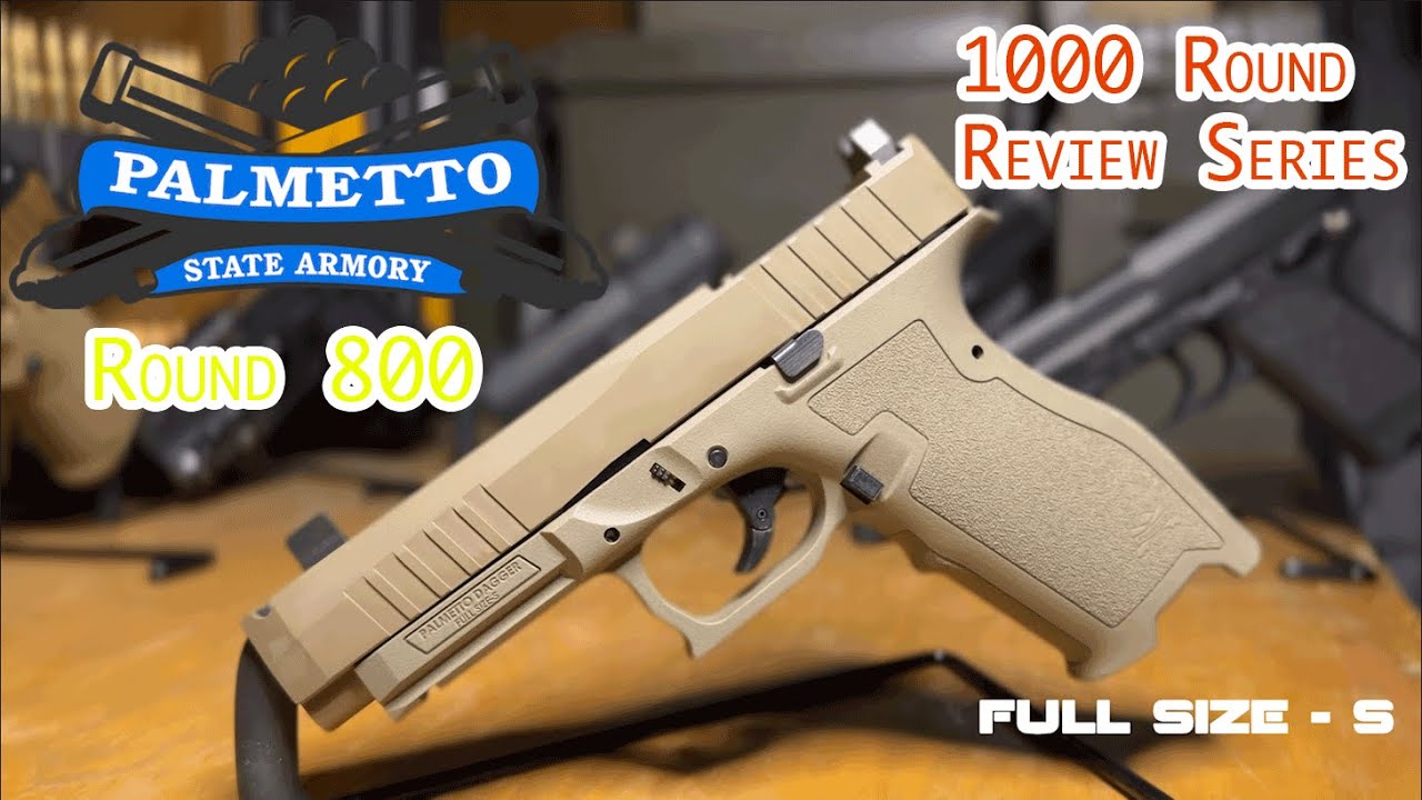 Palmetto State Armory Dagger Full-Size-S | 1,000 Round Review Series | Round 800 Update!