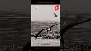 Download Lagu 𝐁𝐞𝐫𝐡𝐞𝐧𝐭𝐢 𝐛𝐞𝐫𝐤𝐚𝐭𝐚 🤬 MP3