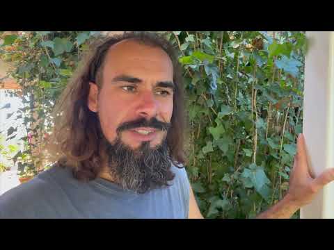 Mein Leben als Auswanderer auf La Palma –Folge 9: Unser netter Nachbar hat ein Katzenhäuschen gebaut