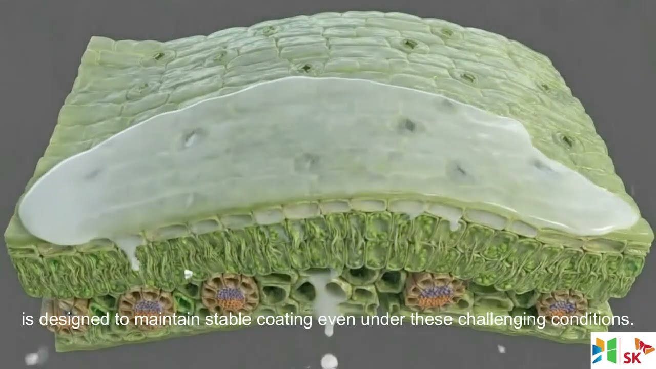 Enspary, Longer intervals Betterresults