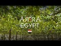 ARRA Egypt Field Visit 2025