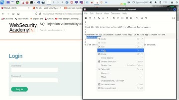 Lab 2: SQL injection vulnerability allowing login bypass | portswigger