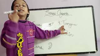 Sense Organs Learn Sense Organs