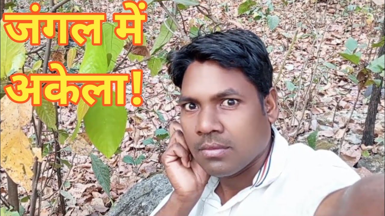 जंगल में अकेला आया हूं मैं | क्या होगा आगे? 😨I Came Alone Into the Jungle | What Will Happen Next? 