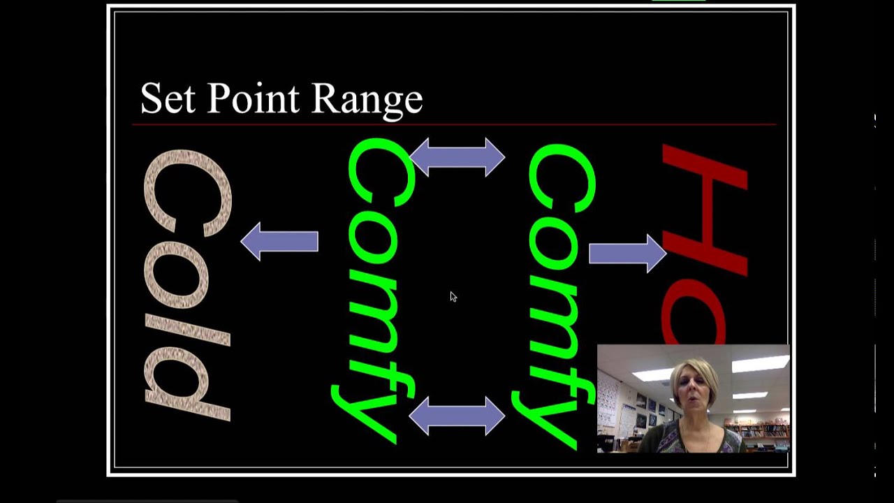 Intro To Anatomy And Physiology Lecture Youtube