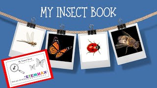 INSECT Fun Facts for Kids with SIGHT WORDS & Science Terms