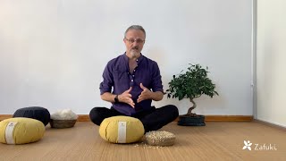 Cáscara de espelta vs Miraguano natural ¿Qué relleno de zafu para meditación elijo?